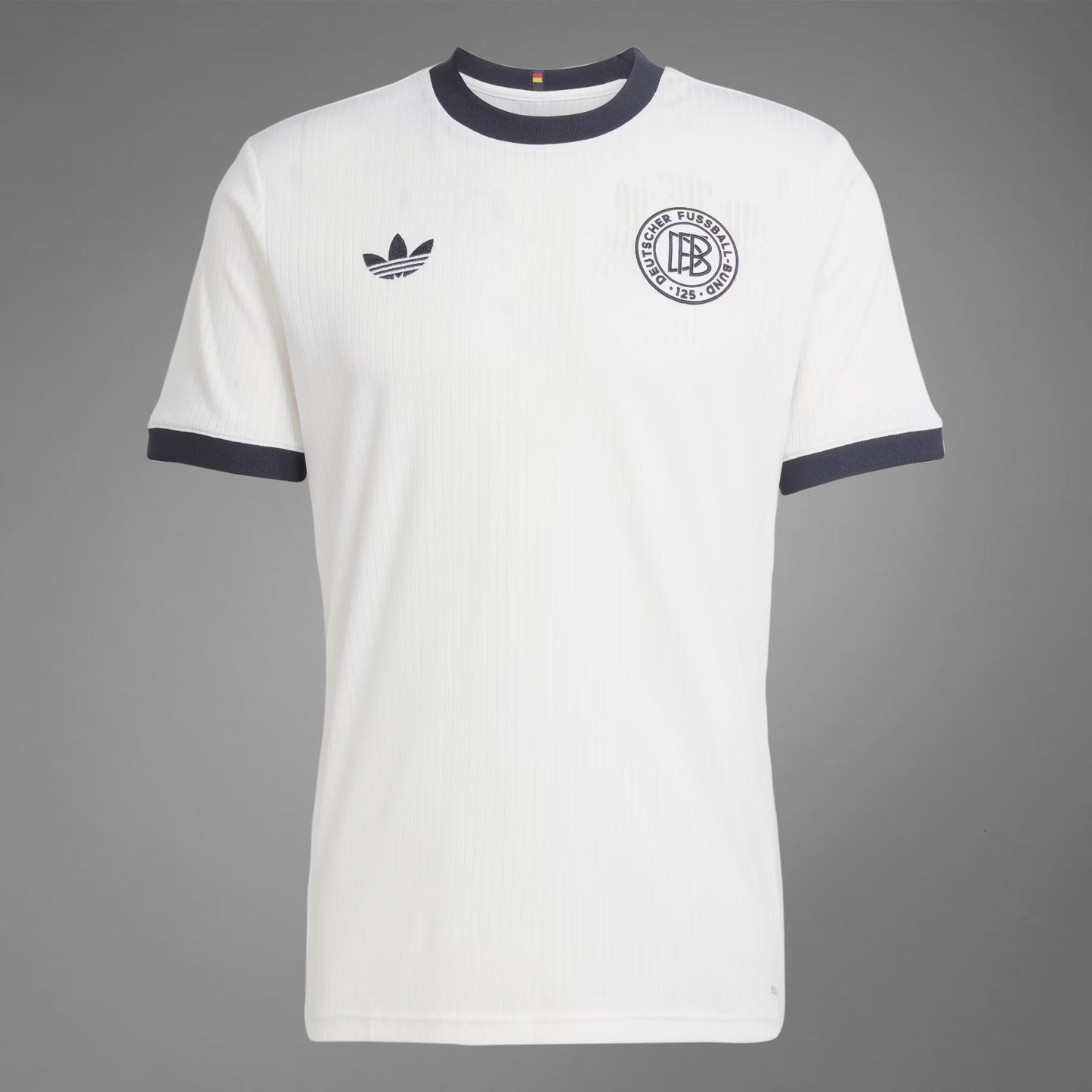 DFB Anniversary Kit 2025/26